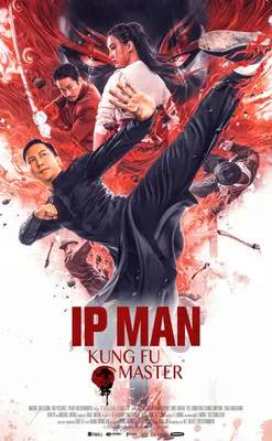 The Legend Is Born: Ip Man (2010) - IMDb