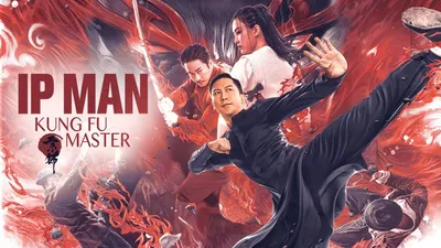 Ip Man 2": China's anti-Western kung fu phenomenon | 