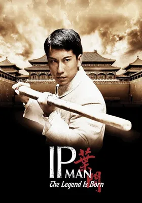 Ip Man 3 (2015) | Ip man 3, Ip man, Ip man movie