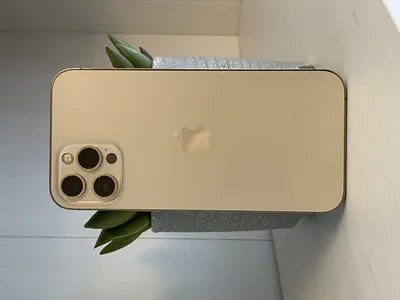 iPhone 12 Pro Max review | Tom's Guide