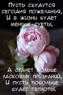 С Днем ангела Ирину и Арину 18 мая: обалденные открытки и поздравления в  именины | Курьер.Среда | Дзен