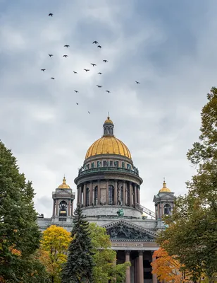 Государственный музей-памятник Исаакиевский собор