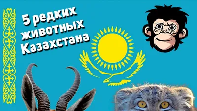 Портреты исчезающих животных »  - Эксклюзивные НОВИНКИ и РЕЛИЗЫ