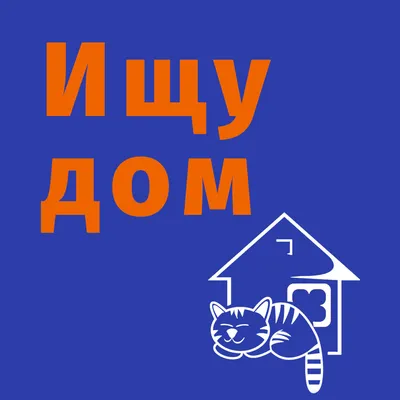 Ищу работу на дом. упаковка,фасовка: Договорная ᐈ Другие специальности |  Новопокровка | 103554487 ➤ 