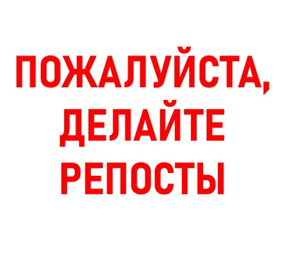 Ищет дом дачный котенок Пятнышко. Он подросток, которого я нашла на дачах  поздней осенью. Вылечила, привела в порядок и ищу дом. СПб и ЛО |  Animalrescueed | Дзен