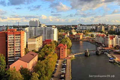 Квартира в аренду в Калининграде, где снимать и почём