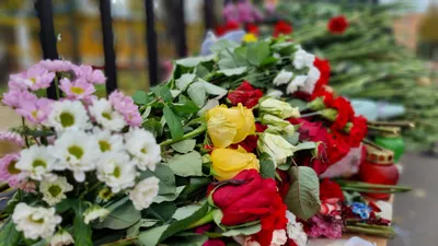 Особенная боль»: Махонин выразил соболезнования после стрельбы в Ижевске —  РБК