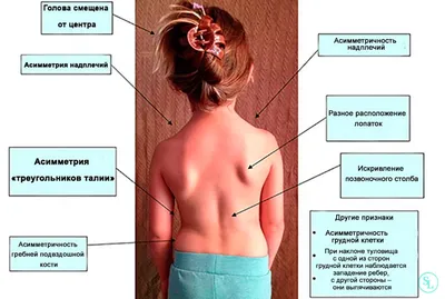 Красота и здоровье | Упражнения, Здоровье, Йога для сна