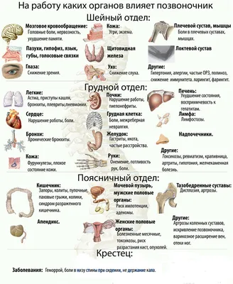 Презентация по биологии "Искривление позвоночника и меры предупреждения" (8  класс)