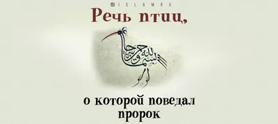 Речь птиц, о которой поведал пророк | 