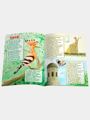 ЧИТАЙ-УММА ДЕТЯМ Детские познавательные книги о животных в Коране