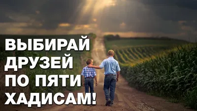 Ислам on X: "#Хадис, #жена, #муж, #супруги, #Ислам, #Коран,#Мусульманин,  #Мусульманка /w8DDyQcVC7" / X