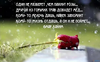 Арслан Шахбулатов: Жена имеет право ослушаться мужа, если его требования  противоречат нормам Ислама | Информационное агентство "Грозный-Информ"