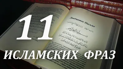 ⚡💭 Хавьер Мендес: «Махачев никогда не копировал Хабиба — у Ислама даже  свои крылатые фразы» Известный ММА-тренер.. | ВКонтакте