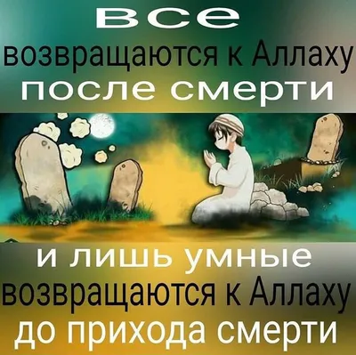 Ислам ☪ | Вдохновляющие фразы, Ислам, Мусульманские цитаты