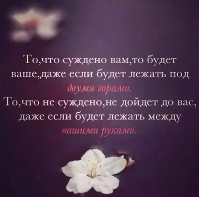 УЧЕНЫЕ | ИСЛАМ (@al_ulama) • Instagram photos and videos