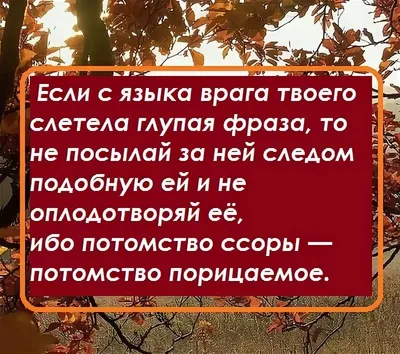 Pinterest | Вдохновляющие фразы, Правдивые цитаты, Ислам