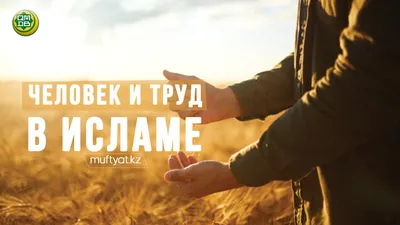 Хадисы и Сунна - #ислам #грех #намаз #хиджаб #хадж #инсан | Facebook