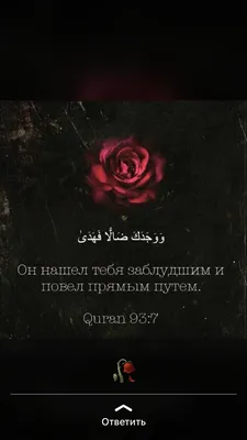 ❤️ Исламские Картинны ❤️ | Quran quotes, Islamic quotes quran, Islamic  quotes wallpaper