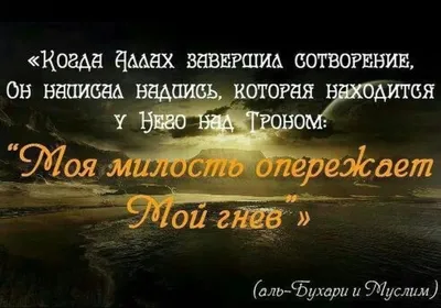 Воронежцев заставила задуматься философская надпись на стекле автомобиля