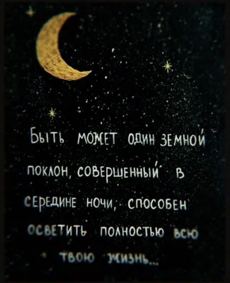 Спокойной ночи всем и добрых снов! #коты - zhirov - 