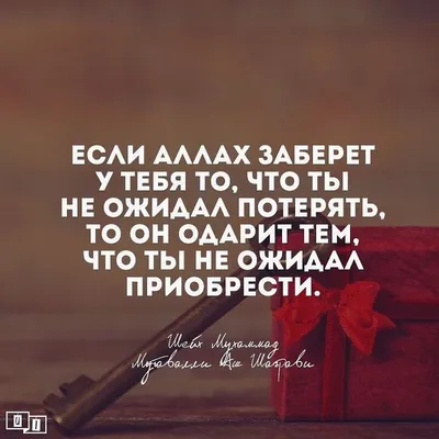 цитаты #цытаты #мотивация #жизнь #афоризмы #aphorisms | Цитата про  путешествия, Цитаты папы, Мусульманские цитаты