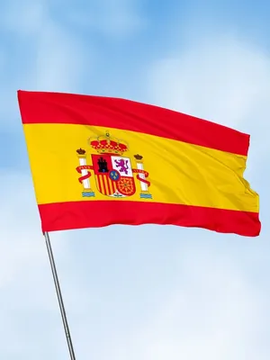 New large 3'x5' Spanish flag the Spain National Flag ESP GOCG | eBay