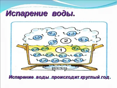 Почему вода испаряется при комнатной температуре? | Странники. Журнал  фантастики. | Дзен