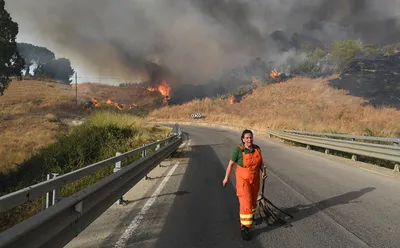 В Италии на полгода объявили режим ЧС из-за лесных пожаров — РБК