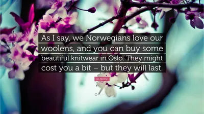 Йо Несбо цитата: «Как я уже сказал, мы, норвежцы, любим нашу шерсть, и в Осло можно купить красивый трикотаж. Они могут стоить вам немного — б...»