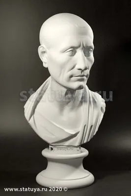 3D-реконструкция головы Гая Юлия Цезаря выявила родовую травму |  