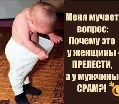 РЖУ НЕ МОГУ😂😂😂 | С добрым утром! #юмор #анекдоты #анекдот #приколы #шутки  #юмориразвлечения #анекдотысамыесмешные #юморприколыдемотиваторымемы #2 |  Дзен