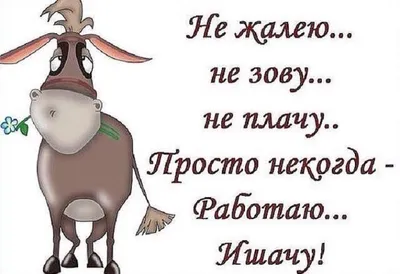 Ржачные картинки с надписями: юмор для настроения - Смехотерапия - 21  октября - 43850209074 - Медиаплатформа МирТесен