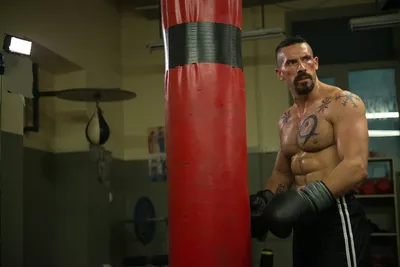 Pin by Ana Pérez on Boyka | Scott adkins, Action movie stars, Scott