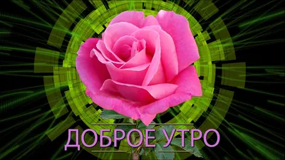 Доброе утро Любимая! Сердцем желанная! В жизни моей ТЫ МОЯ самая ГЛАВНАЯ!  Музыкальная видео открытка - YouTube