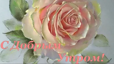 🌞 ДОБРОГО УТРА / ДОБРОЕ УТРО / С ДОБРЫМ УТРОМ / ДОБРОГО УТРА ЛЮБИМОЙ / ДОБРОЕ  УТРО КАРТИНКИ - YouTube