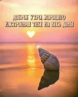 Прослушка Путина, Кадыров нападет на Польшу, "С добрым утром, Зеленский!",  Крым готовится. Стрим Бацман с Шустером. Трансляция