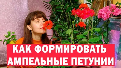 Ольга Бузова, Анфиса Чехова, Ян Цапник и дети Филиппа Киркорова посетили  премьеру мультфильма «Чинк: хвостатый детектив» — Досуг — Дочки ‒ матери