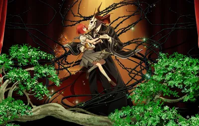 Аниме «Невеста чародея» / Mahō Tsukai no Yome / The Ancient Magus' Bride  (2017) — трейлеры, дата выхода | КГ-Портал