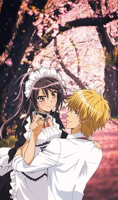 Манга Президент студсовета - горничная! Kaichou wa Maid-sama! Том 01 BP KWM  01 Bee's Print All (ID#1830364950), цена: 225 ₴, купить на 