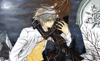 Обои Аниме Vampire Knight, обои для рабочего стола, фотографии аниме,  vampire knight, рыцарь-вампир, yuuki, cross, vampire, knight, объятия,  плита, ветер, kiryu, zero, снег, ночь, луна Обои для рабочего стола,  скачать обои картинки