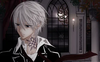 Аниме «Рыцарь-вампир» / Vampire Knight / Vampire Knight — трейлеры, дата  выхода | КГ-Портал