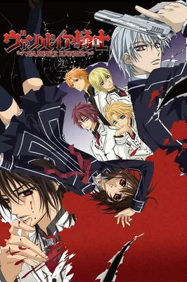 Обои Аниме Vampire Knight, обои для рабочего стола, фотографии аниме,  vampire knight, vampire, knight, седзе, девушка, рыцарь, вампир, юки,  куран, парень Обои для рабочего стола, скачать обои картинки заставки на  рабочий стол.