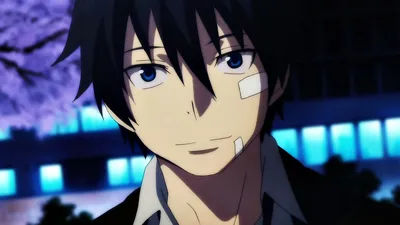 Pin by あいみ on 男の子 | Blue exorcist anime, Exorcist anime, Blue exorcist rin