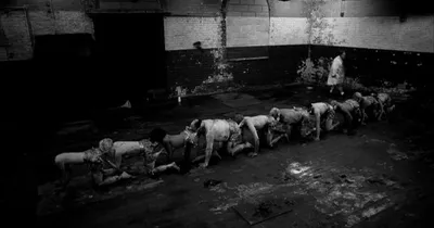 Фильм «Человеческая многоножка 2» / The Human Centipede II (Full Sequence)  (2011) — трейлеры, дата выхода | КГ-Портал