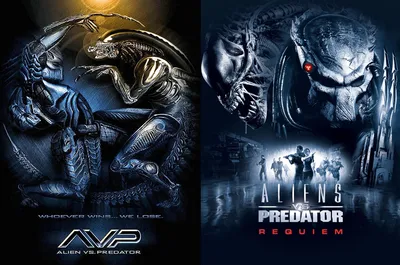 AVP (Вселенная Чужих и Хищников, Aliens vs. Predator, Чужой против Хищника)  / смешные картинки и другие приколы: комиксы, гиф анимация, видео, лучший  интеллектуальный юмор.