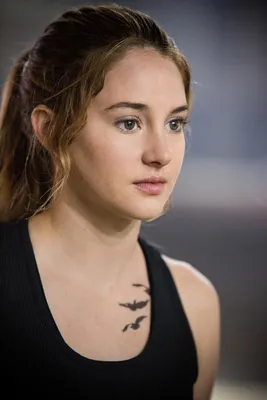 Фильм «Дивергент. Глава 3: За стеной» / The Divergent Series: Allegiant  (2016) — трейлеры, дата выхода | КГ-Портал