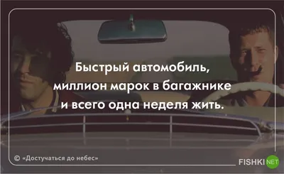  о туризме: Пляж на острове Тессел (Texel): как доехать и что  посмотреть