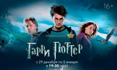 Harry Potter and the Council of Shadows." / неснятые фильмы :: Гарри Поттер  :: Поттериана :: нейрофильмы :: MidJourney :: нейронные сети :: очень  длиннопост :: длиннопост :: много картинок :: подборка - JoyReactor