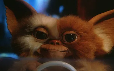 Фильм «Гремлины» / Gremlins (1984) — трейлеры, дата выхода | КГ-Портал